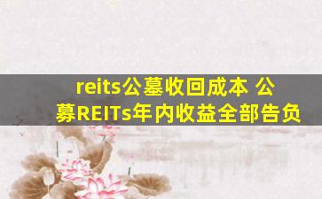 reits公墓收回成本 公募REITs年内收益全部告负